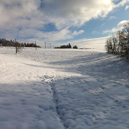 Krkavcina Apartmany Náchod Esterno foto